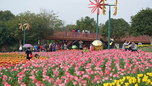 百花爭(zhēng)艷迎新春